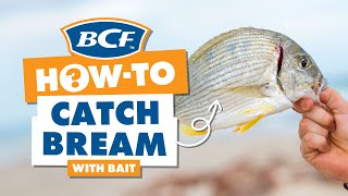 Catch Bream with Bait  BCF How To [upl. by Verlie]