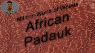 African Padauk  Mitchs World of Woods [upl. by Inger196]