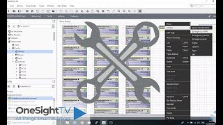 HOW TO Perform mass config changes in Niagara 4 [upl. by Akihsay285]