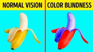 How Color Blind People See the World [upl. by Phail]