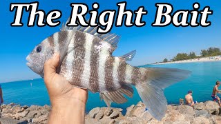 Catching Pompano Sheepshead Snook And Spanish Mackerel Fishing Florida [upl. by Lativa]