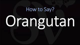 How to Pronounce Orangutan CORRECTLY [upl. by Conroy153]