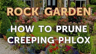 How to Prune Creeping Phlox [upl. by Nnylahs]