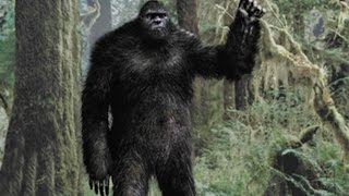 BIGFOOT FAMILY Clip  quotPrepare The Big Daddyquot 2020 [upl. by Kciregor]