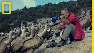 The Vultures This Man Loves May Soon Disappear  National Geographic [upl. by Dnalra]