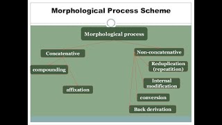 Morphological Processes Definitions and Examples [upl. by Nnahgaem]