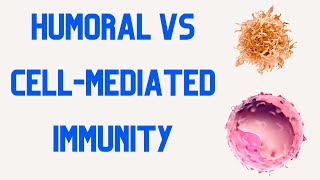 HUMORAL IMMUNITY vs CELL MEDIATED IMMUNITY [upl. by Mukund]