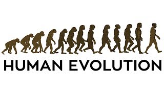 Human Evolution Animation [upl. by Lu]