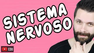 SISTEMA NERVOSO  FISIOLOGIA  Aula  Biologia com Samuel Cunha [upl. by Terle]