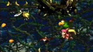 Donkey Kong Country 2  102 Walkthrough Part 24  Bramble Scramble [upl. by Mersey557]