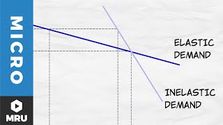 Elasticity of Demand [upl. by Haym]