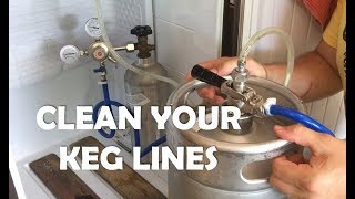 How to clean your kegerator beer lines  DO IT [upl. by Krilov]