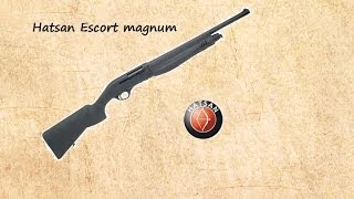 Hatsan Escort Magnum 12g Semi Auto Shotgun First Impressions [upl. by Wilkie]