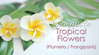 Gumpaste Plumeria  Frangipanis Tropical Flower Tutorial [upl. by Niar553]