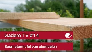 14 Boomstam tafelblad maken van Stamdelen [upl. by Dlaniger794]