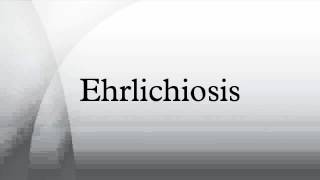 Ehrlichiosis [upl. by Araet]