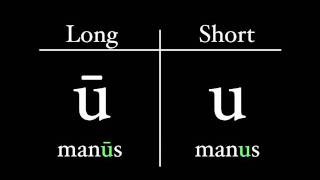 The Latin Alphabet  Vowel Pronunciation [upl. by Kitrak]