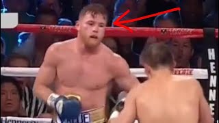 The moment Canelo feared GGG chin The eyes never lie [upl. by Ellehcar403]