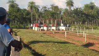 Carrera de caballo en paraguay [upl. by Abe]