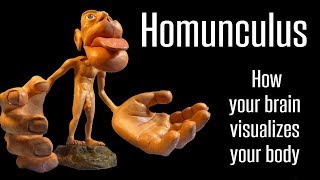 Homunculi and Visualization part 47 [upl. by Tunnell]