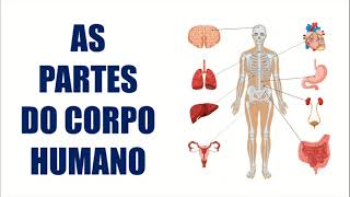 AS PARTES DO CORPO HUMANO  RESUMO ESCOLAR [upl. by Ahrens579]