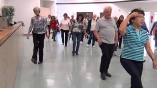 Yankee Doodle Dandy  Line Dancing  Choreographed by Mike Shannon [upl. by Laud]