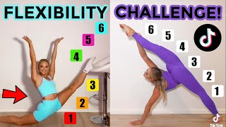 FLEXIBILITY TIK TOK CHALLENGE TWIN VS TWIN [upl. by Strong]