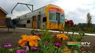 Sydney Trains Vlog 1248 Hazelbrook [upl. by Adena]