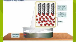 Cleansing Action Of Soap [upl. by Bennion]