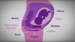 Pelvic floor exercises during pregnancy  txt4two Program  Mater Mothers [upl. by Orsa]