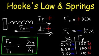 Hookes Law and Elastic Potential Energy [upl. by Eleets]