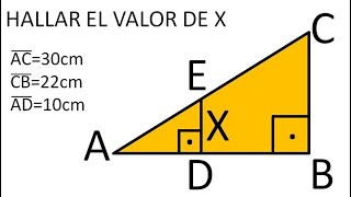 TEOREMA DE TALES Ejercicio resuelto [upl. by Minne432]