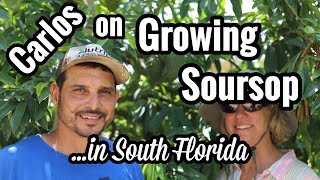 Carlos on Growing Soursop in South Florida [upl. by Koy]