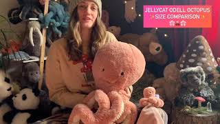 Jellycat Odell Octopus Size Comparison amp Sensory Qualities [upl. by Yesdnik]