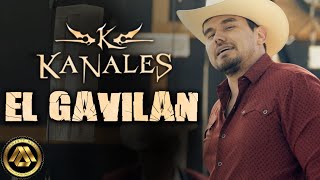 Kanales  El Gavilán Video Oficial [upl. by Adamo288]