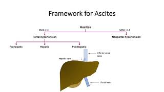 GRACE Supportive Care Series Malignant Ascites [upl. by Immot]