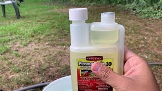 How to use Permethrin to dip your chickens [upl. by Oiragelo]