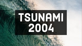 Tsunami 2004 Caught On Camera  Original Footage HD [upl. by Sanjiv878]