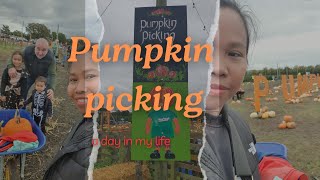 PUMPKIN PICKING AT HURLEYS FARM [upl. by Early607]