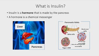 The Basics of Insulin [upl. by Htebasyle]