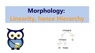 Morphology Linearity hence Hierarchy [upl. by Eimaraj630]