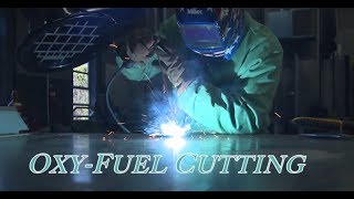 Welding Safety Video  Quality Welder Safety Training [upl. by Renata]