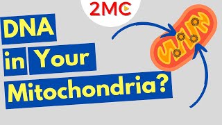 Mitochondria Structure and Function Animation  USMLE Step 1 Physiology [upl. by Julie355]