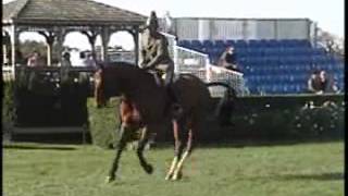 Christopher competing in a show jumping competition at The Hampton Classic Horse Show in NY [upl. by Ycal]