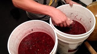 How to Start a Wine Fermentation and Balance Your Must  Home Winemaking [upl. by Gibb634]