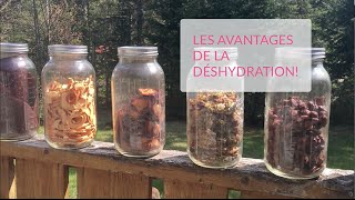 Les avantages de la déshydratation [upl. by Tena669]