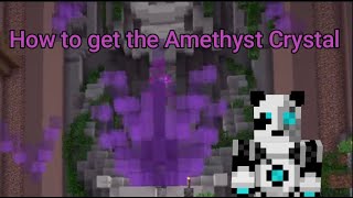 How to Find the Amethyst Crystal hypixel skyblock [upl. by Eamanna]