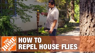 How to Keep Flies Away and Prevent Flies in Your House [upl. by Oicelem]