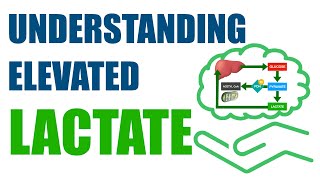 Understanding Elevated Lactate [upl. by Raasch]