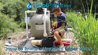 How to Prime a Hayward Super Pump [upl. by Dimitry290]